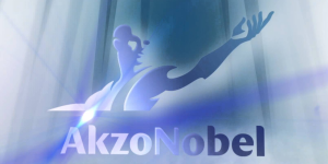 ����ʮ������Ϳ��Ʒ�ƹ�˾2015��Ȉ��