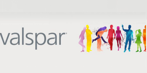 ����ʮ������Ϳ��Ʒ�ƹ�˾2015��Ȉ��