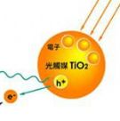 �{�������X �߼��{�������X